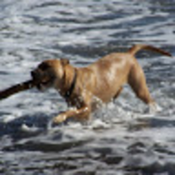 Meet your Posher, Julie - Picture 1 of 1